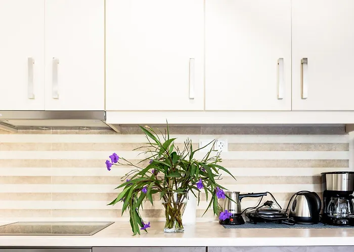 Afroditi\'S Delux Apartment
